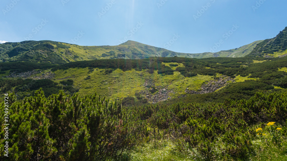 Fototapeta premium Amazing mountain landscape with blue sky with white clouds, sunny summer day in Carpathians, Ukraine.