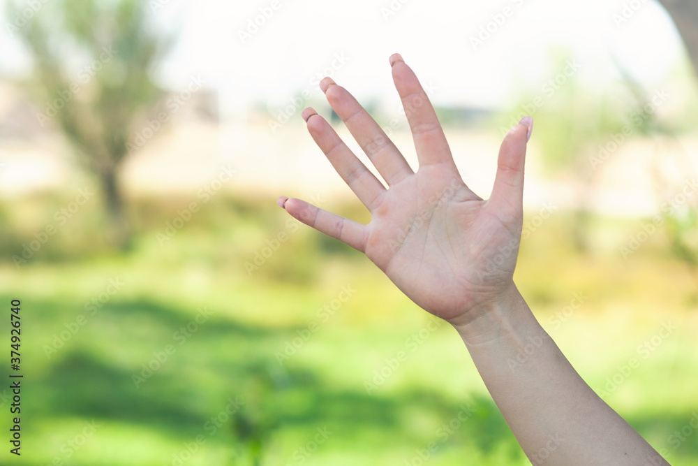 woman hand sign stop Isolated on green background. woman hand sign stop Isolated on green background.