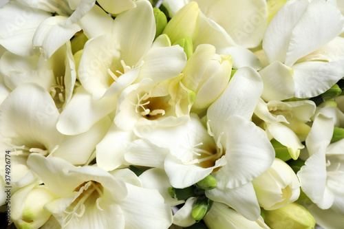 Beautiful aromatic freesia bouquet as background, closeup