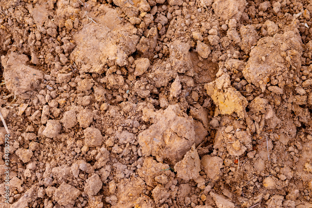 Tropical laterite soil background. Tropical laterite soil background.