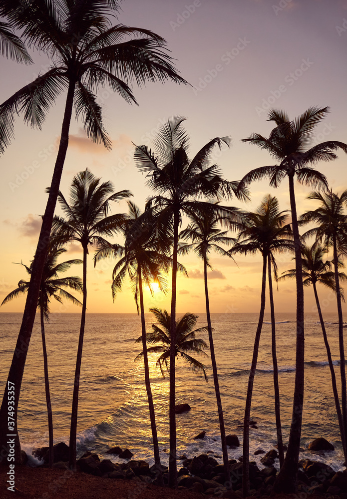 Beautiful tropical sunset with coconut palm trees silhouettes.