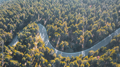 Aerial view of curvy road surronded by trees