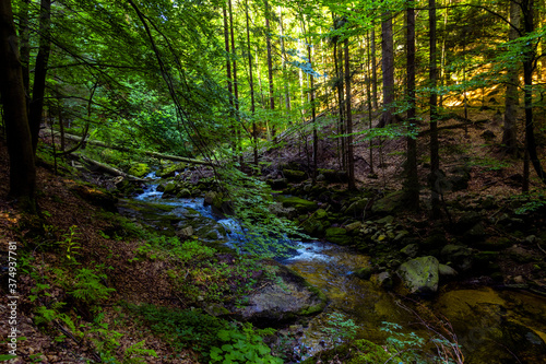 Potok strumień rzeka woda las karkonoski park narodowy karkonosze