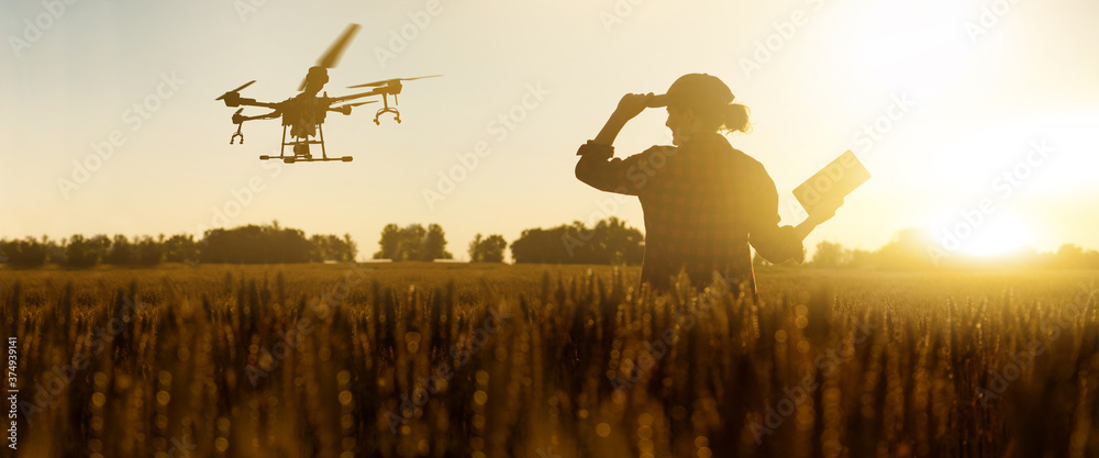 Farmer controls drone sprayer with a digital tablet - obrazy, fototapety, plakaty 
