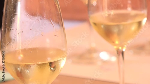 Wine tasting glasses, white wine, professional taster photo