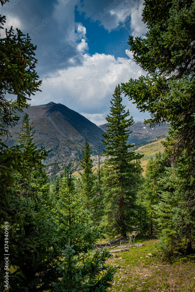 Mountain View Through the Trees