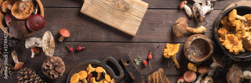 Autumn harvest of mushrooms on vintage rustic wooden background. Rustic kitchen table. Flat lay top, top view . Layout with free text space. Forest harvest concept. Banner.