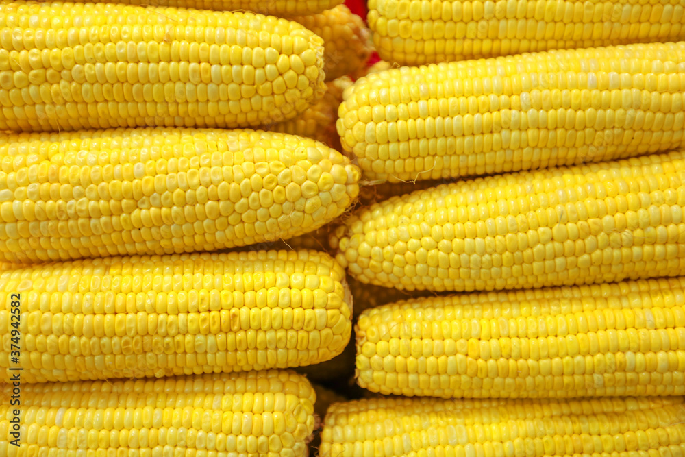 Lots of boiled corns at bazaar. agriculture farm full of organic vegetables. Pile of boiled corns in the store. Food background (selective focus) Lots of boiled corns at bazaar. agriculture farm full of organic vegetables. Pile of boiled corns in the store. Food background (selective focus)