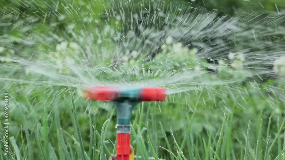 Irrigation of vegetables in the garden slide shot. Watering of vegetables using a sprayer. Watering garden equipment Irrigation of vegetables in the garden slide shot. Watering of vegetables using a sprayer. Watering garden equipment