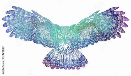 Flying owl with large wings. Dudling painting, dudling, meditation. The bird spread its wings.