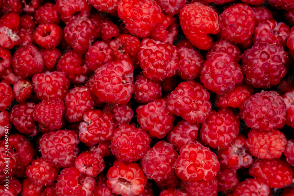 .ripe raspberries close up .ripe raspberries close up