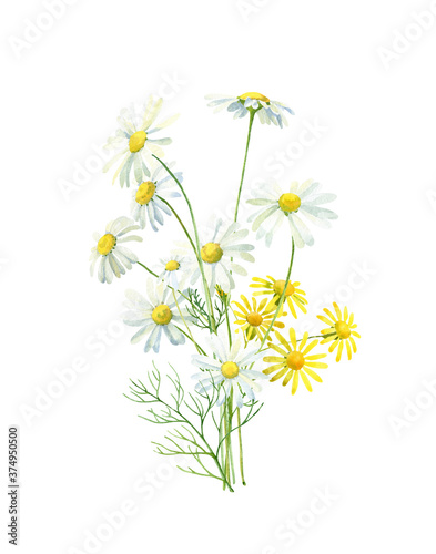 Watercolor bouquet of white and yellow daisies
