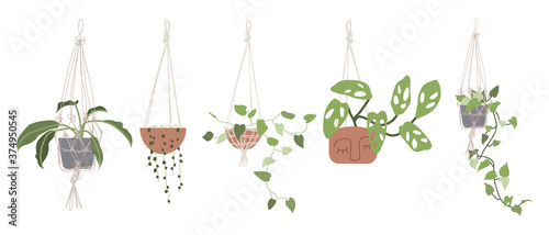 Set with hanging air house plants in flower pots. Urban jungle, home gardening. Hand drawn vector illustration in flat cartoon style. Perfect for poster, sticker, print, card
