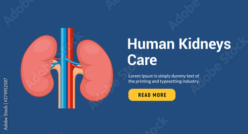 Lung human icon, respiratory system healthy lungs anatomy flat medical organ banner