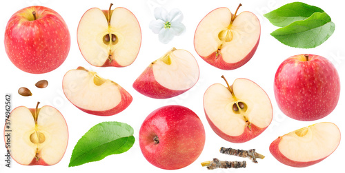 фотографія Isolated red apples