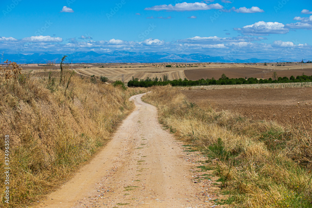 rural landscape of a dirt road that connects one town with another town with blue sky and white clouds rural landscape of a dirt road that connects one town with another town with blue sky and white clouds