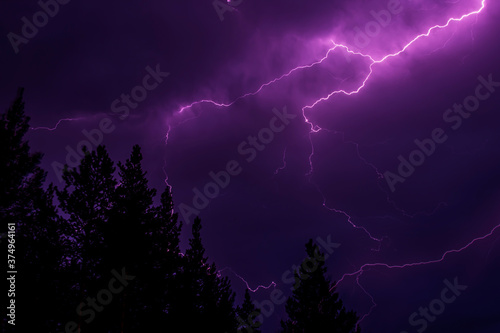 Powerful lightning bolts in the purple sky against the background of trees.
