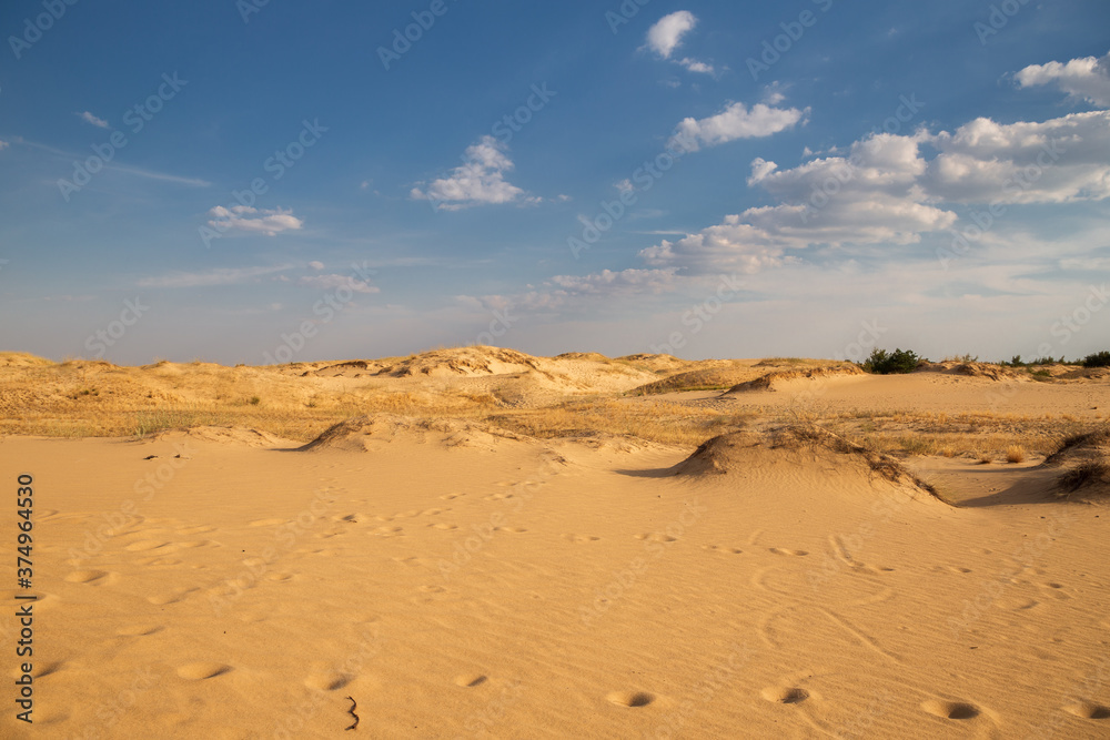 Beautiful desert landscape with dunes. Walk on a sunny day on the sands.