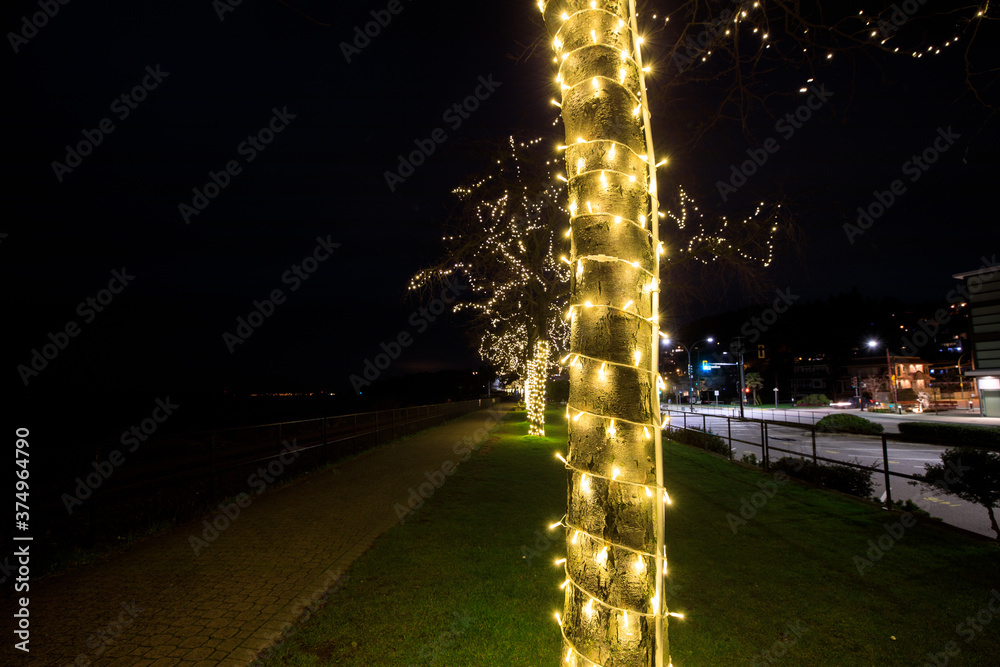 Trees along ocean lit up at night with led lights