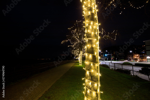 Obraz na płótnie Trees along ocean lit up at night with led lights w salonie