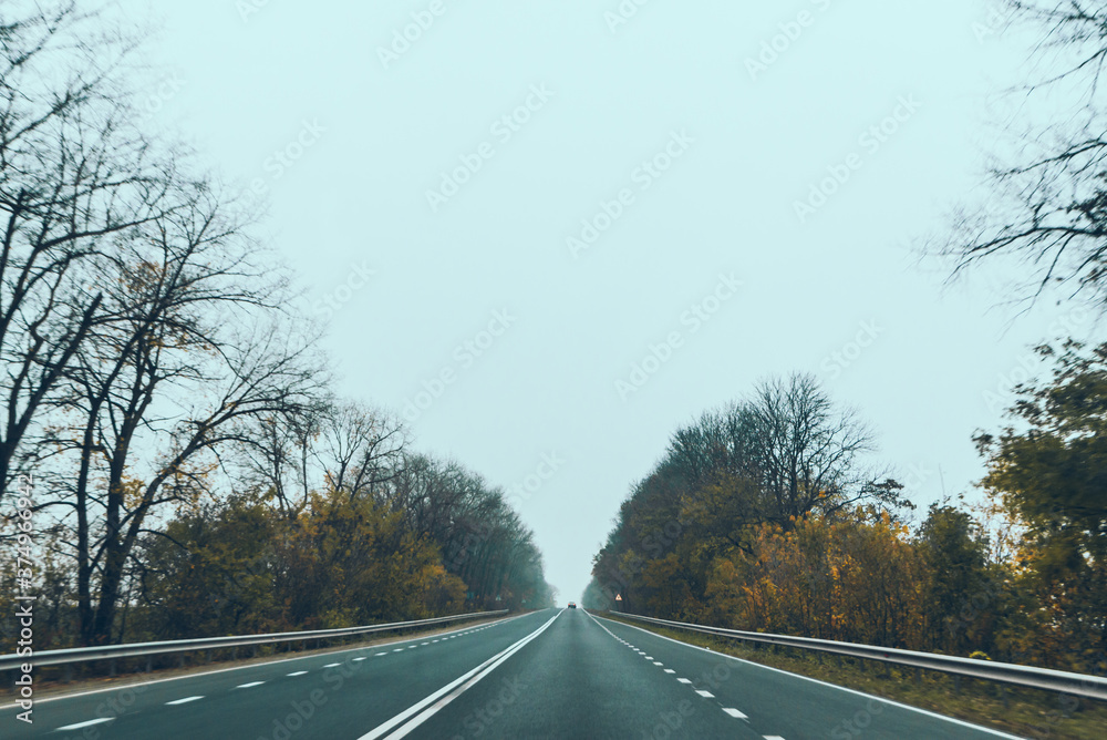 Fototapeta premium autumn car travel concept trees with yellow leaves
