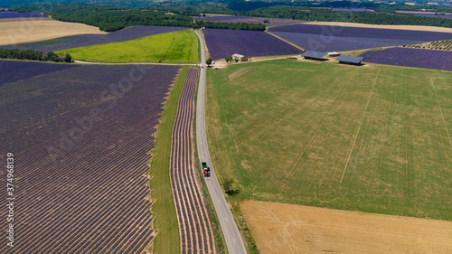 Aerial view of green and purple Lavender fields in Valensole - diagonal with tree , tractor on road and curves  