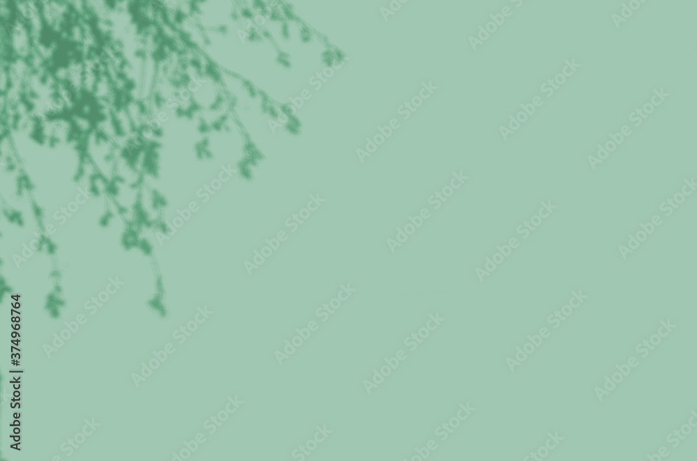 Summer background of shadows branch leaves on a wall for overlaying a photo or mockup Summer background of shadows branch leaves on a wall for overlaying a photo or mockup