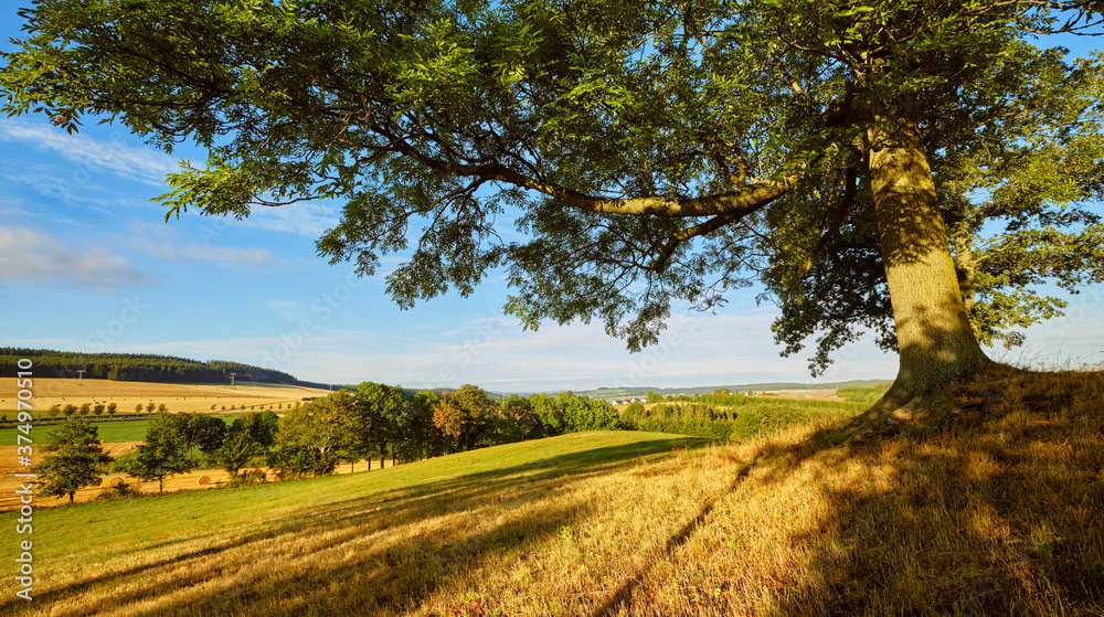 Aussicht am Feld Aussicht am Feld