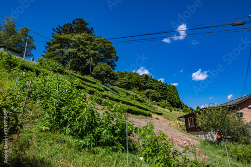 下栗の里 photo