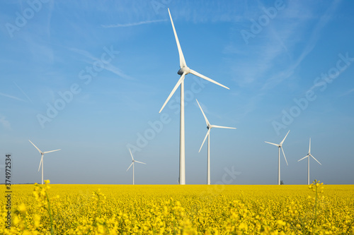 A group of wind generators in a yellow rapeseed field and a blue sky on a sunny day