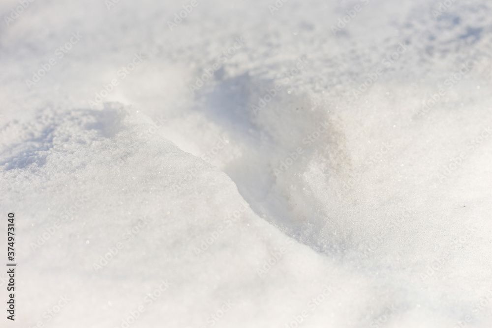white snow background with footprint