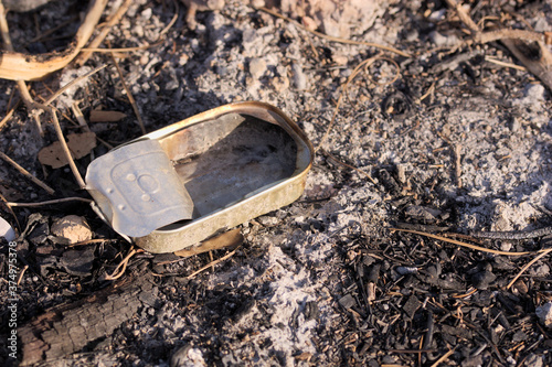 Wallpaper Mural Can of sardines among the ashes of a bonfire in the countryside Torontodigital.ca