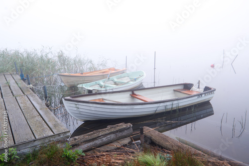 Stensj  n - Misty Morning at the lake