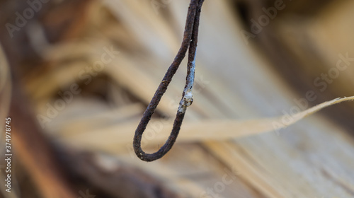 close up of rope