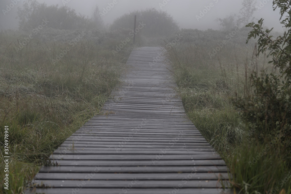 Obraz premium Holzstege im Hohen Venn im Nebel.