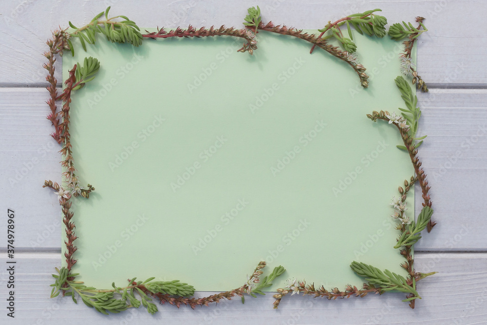 Natural frame on white wooden background made of moss and succulents. Light-green paper is inside the frame