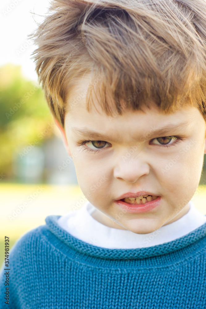 Young Bully Grimaces with Anger Young Bully Grimaces with Anger