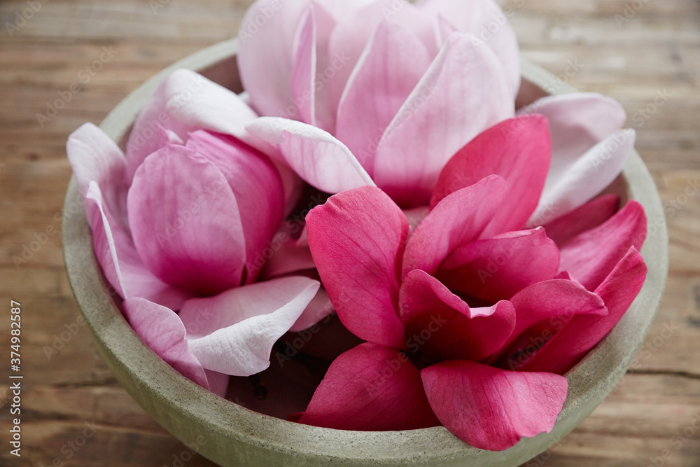 Pink Magnolia flowers in concrete bowl on wood table Pink Magnolia flowers in concrete bowl on wood table