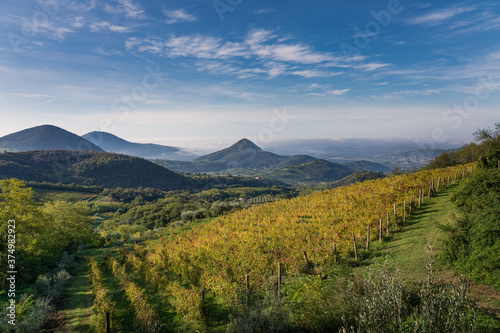 autumn landscape in the mountains