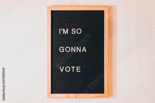 I'm So Gonna Vote Letterboard Landscape