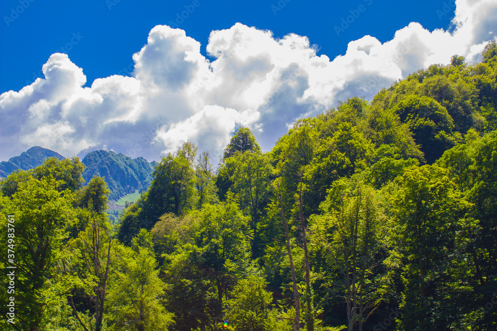 summer landscapes of the Caucasus mountains in Rosa Khutor, Sochi summer landscapes of the Caucasus mountains in Rosa Khutor, Sochi