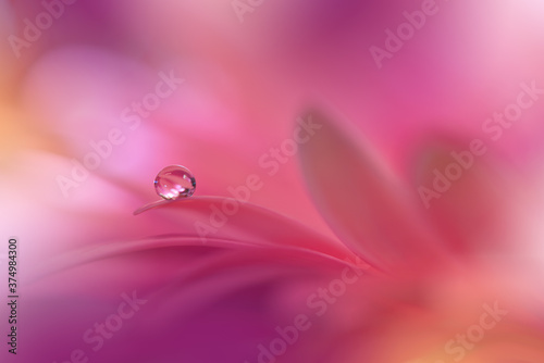 Beautiful Nature Background.Floral Art Design.Abstract Macro Photography.Daisy Flower.Pastel Flowers.Pink Background.Creative Artistic Wallpaper.Wedding Invitation.Celebration,love.Close up.Water Drop