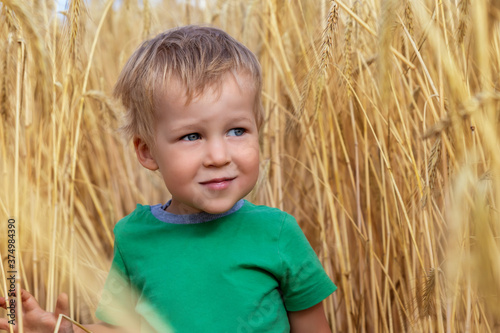 Candid portrait of cute adorable caucasian blond little toddler boy enjoy walking in ripe golden wheatfield looking forward on bright sunny day. Carefree happy childhood at country farm concept