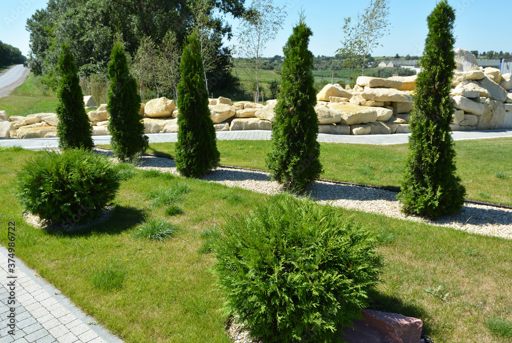 Fototapeta premium Design of landscaping in the garden, park, square, recreation area