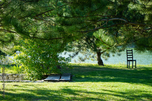 beautiful green mowed lawn and trees by the lake for a pleasant stay for families with children and people with disabilities. Convenient place for picnic, sports, yoga and recuperation 