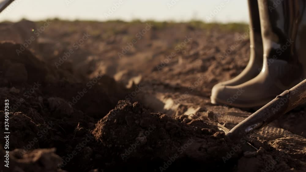 Close up of two unrecognizable farmers wearing rubber boots and gloves are digging soil in the field