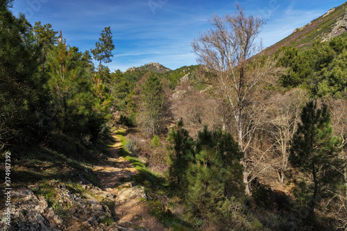 Landscape with rural path in Extremadura. Spain.