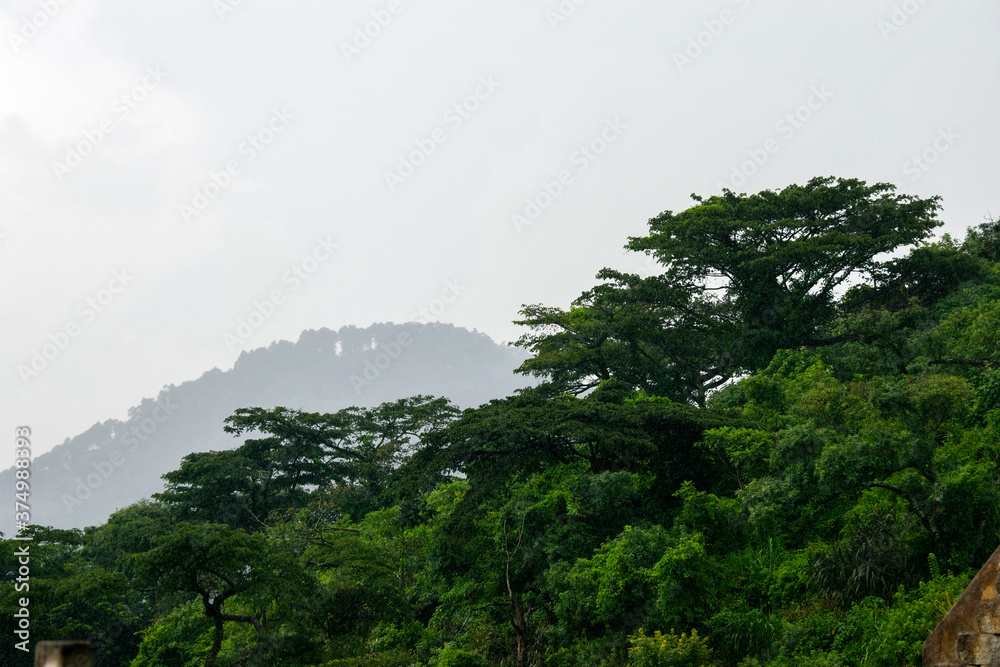 Panoramic view mountains with forest area in Guatemala, green area oxygen source, Central America