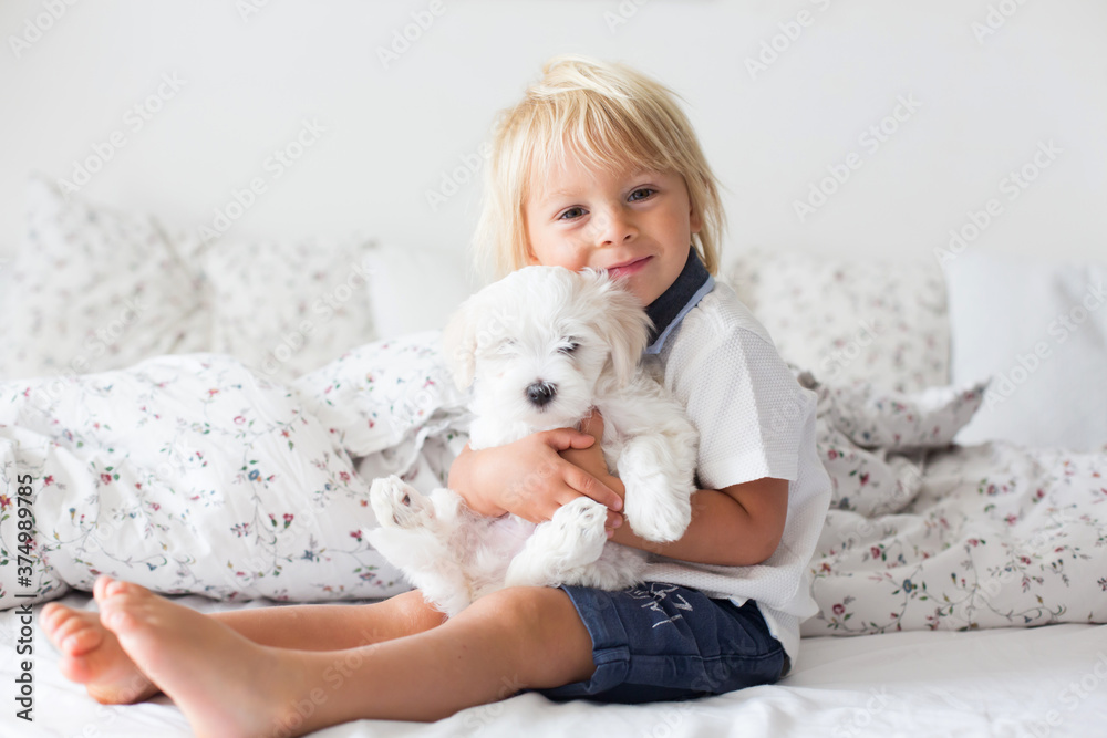 Cute little blond child, toddler boy, reading book with white puppy maltese dog