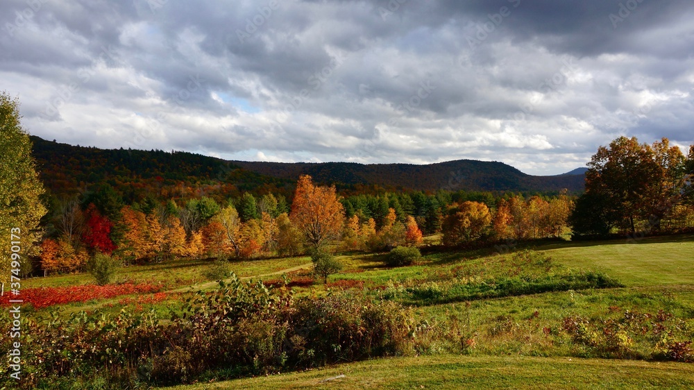 landscape, autumn, nature, sky, forest, tree, fall, grass, field, green, trees, mountain, meadow, yellow, road, blue, colorful, cloud, season, countryside, rural, mountains, natural, scenic, view landscape, autumn, nature, sky, forest, tree, fall, grass, field, green, trees, mountain, meadow, yellow, road, blue, colorful, cloud, season, countryside, rural, mountains, natural, scenic, view